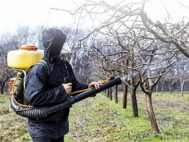 Опрыскивание деревьев Таганрог