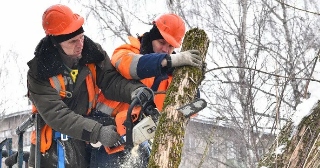 Опиловка деревьев Таганрог цена от 1041 руб.